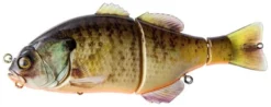 Jackall Gantarel Swimbait - RT Bluegill