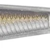 LIVETARGET Ghost Tail Minnow