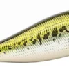 Megabass PopX Top Water Popper