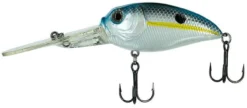 Molix Sculpo DR Rattlin Crankbait -Fishing Journey Shop molix sculpo dr rattlin crankbait 31902.1651075809