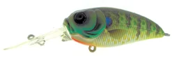 Molix Sculpo DR Rattlin Crankbait -Fishing Journey Shop molix sculpo dr rattlin crankbait 54107.1651075811