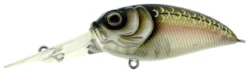 Molix Sculpo DR Rattlin Crankbait -Fishing Journey Shop molix sculpo dr rattlin crankbait 81642.1651075810