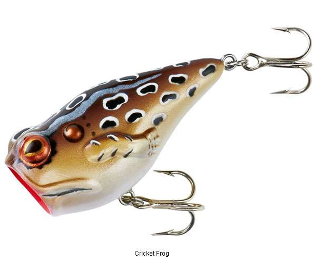 Rebel P205 PopN Frog 4 Rebel P205 PopN Frog - Image 4