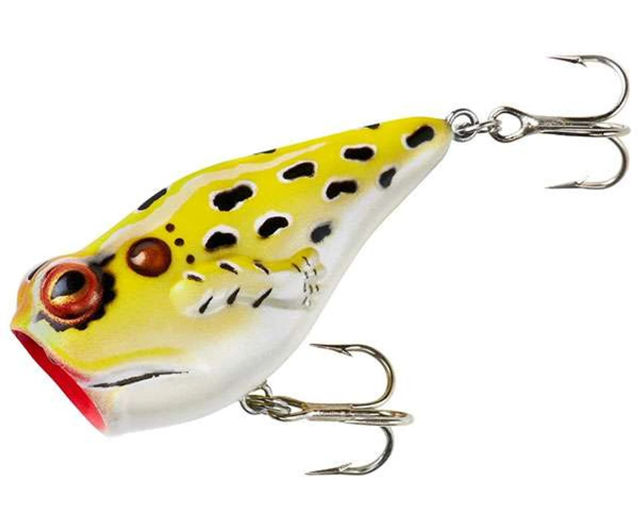 Rebel P205 PopN Frog 1 Rebel P205 PopN Frog