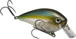 Strike King KVD 2.5 Squarebill Crankbait - Sexy Ghost Minnow